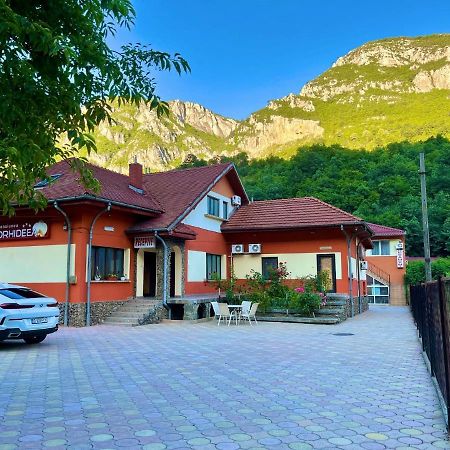 Pensiunea Orhideea Băile Herculane Exteriér fotografie