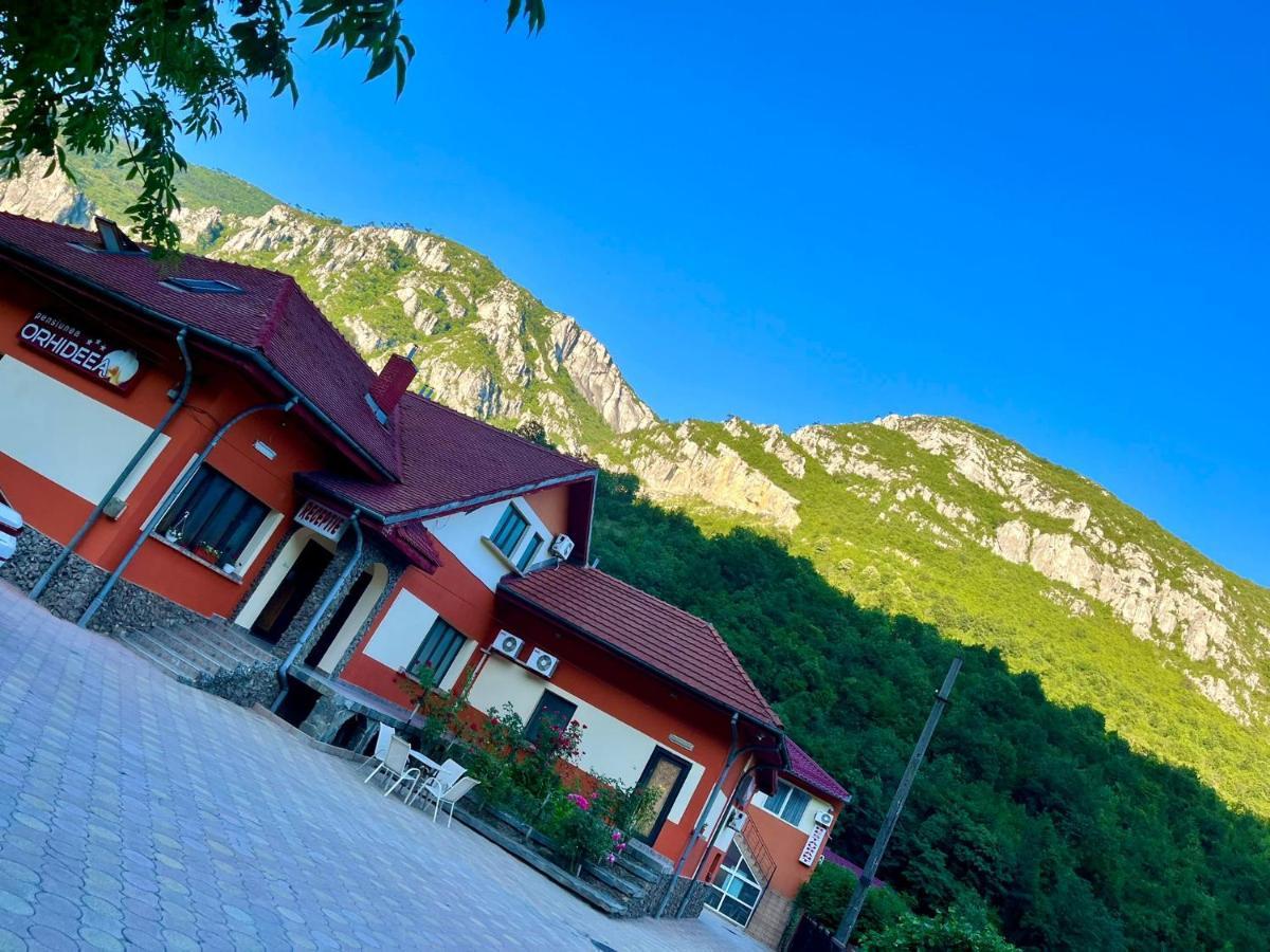 Pensiunea Orhideea Băile Herculane Exteriér fotografie