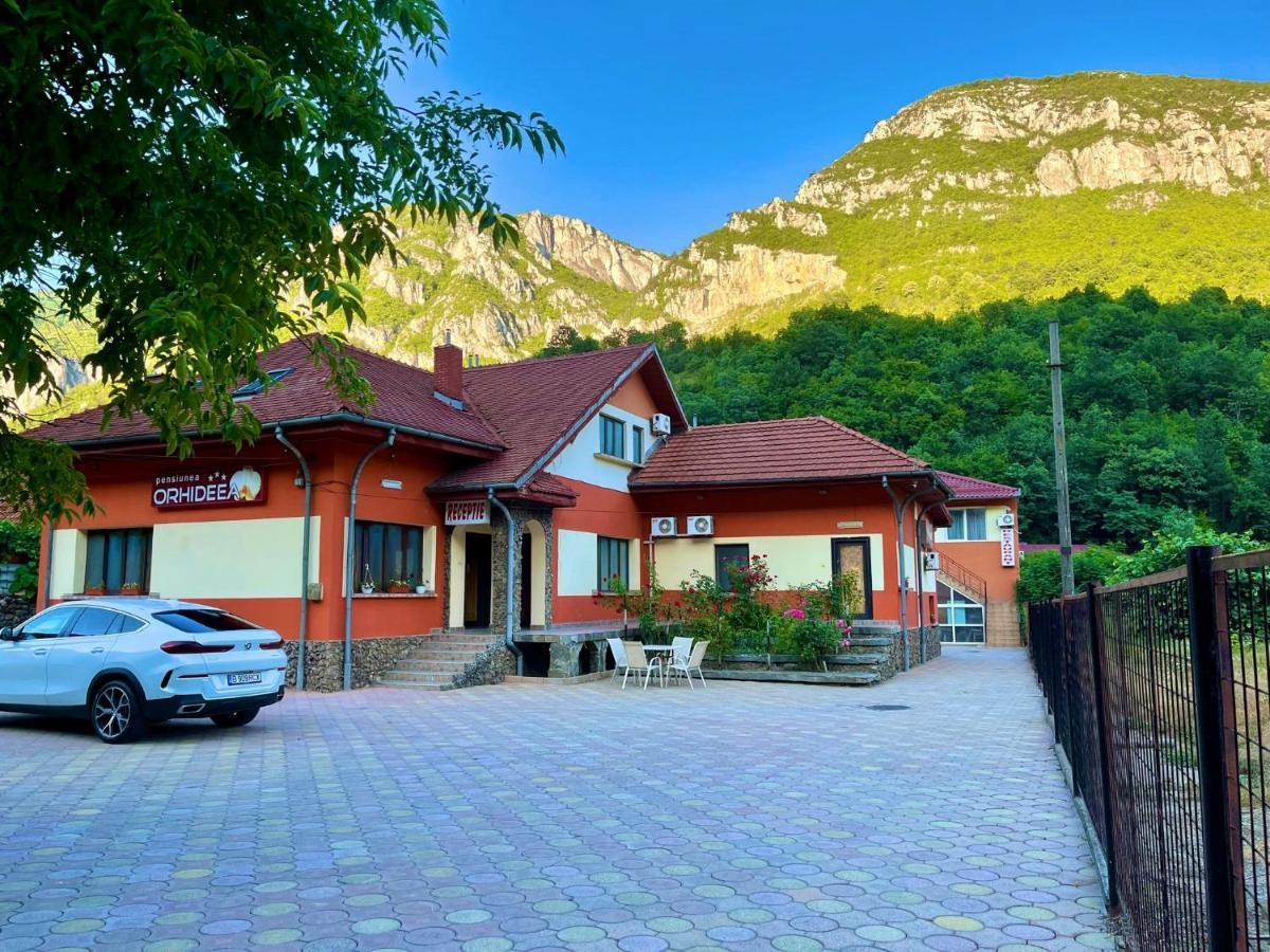 Pensiunea Orhideea Băile Herculane Exteriér fotografie